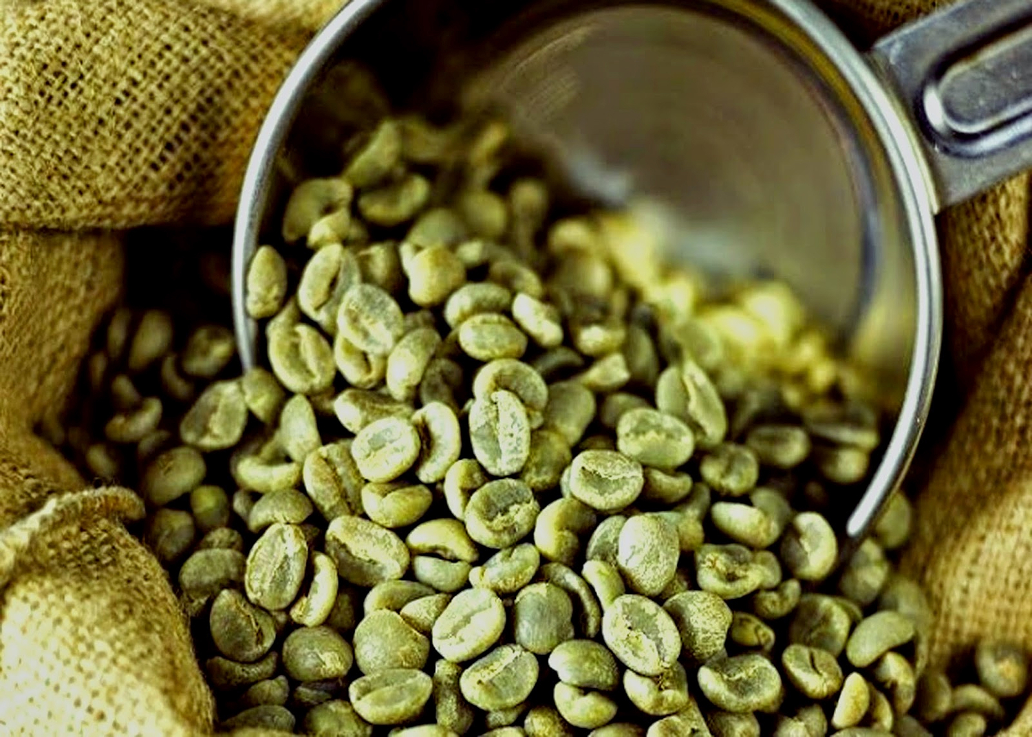«Зеленый кофе» - ваша пищевая добавка